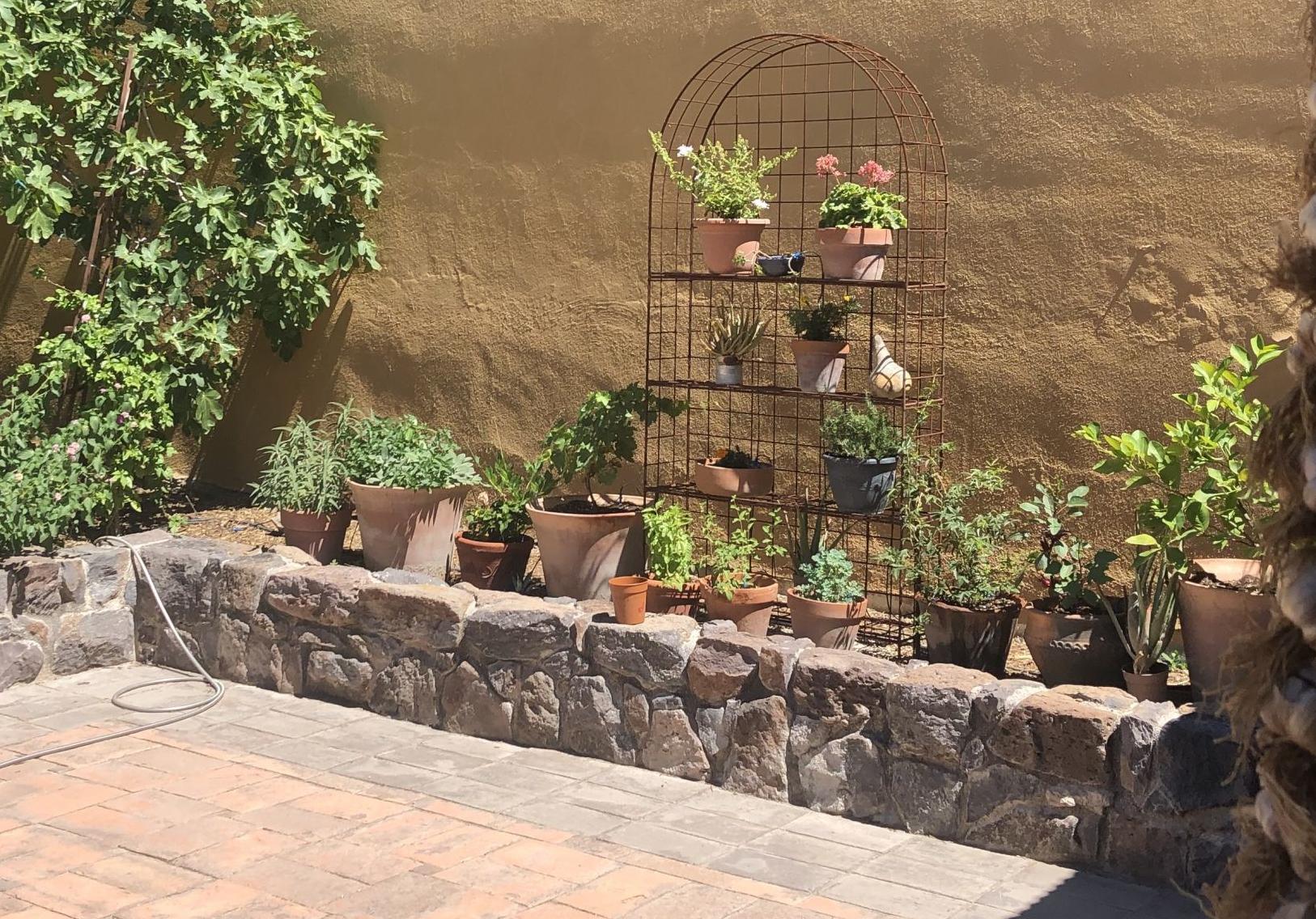 Presidio San Agustin del Tucson Museum